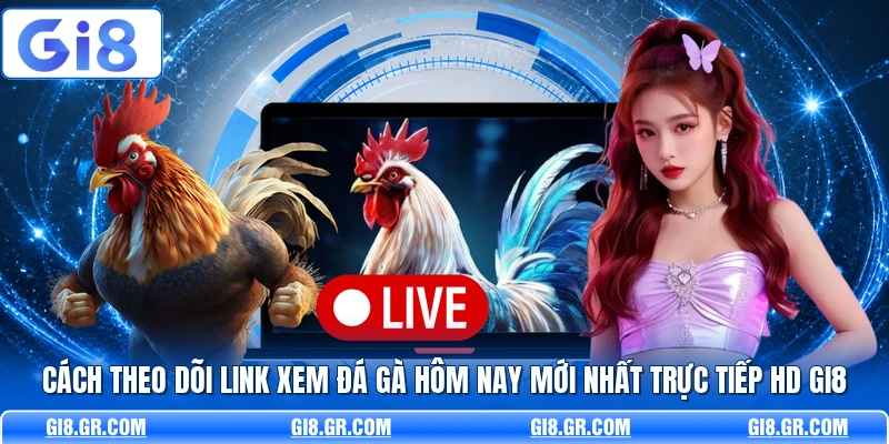 Link Xem Đá Gà Hôm Nay Mới Nhất Trực Tiếp HD GI8 Rõ Nét Cách theo dõi link xem đá gà hôm nay mới nhất trực tiếp HD GI8