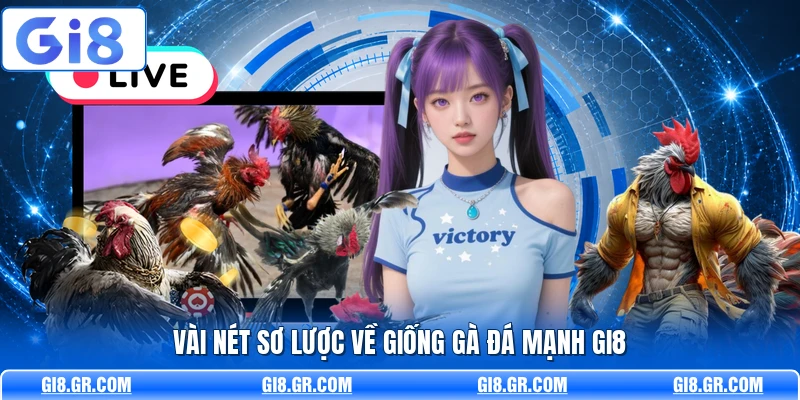 Giống Gà Đá Mạnh GI8 - Phân Tích Dòng Gà Chuẩn Nhất Vài nét sơ lược về giống gà đá mạnh GI8